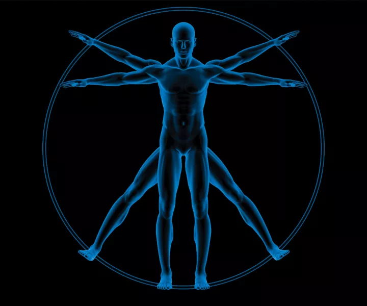 Body Mass Avatar at Luminar Trade